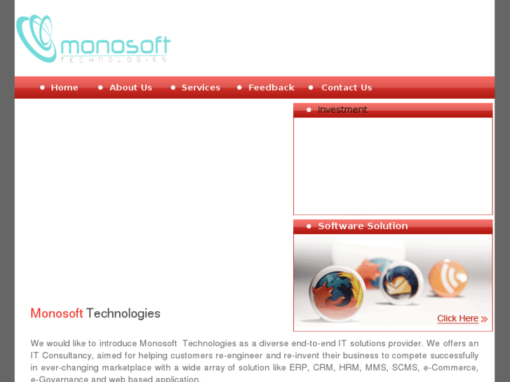 www.monosofttechnologies.com