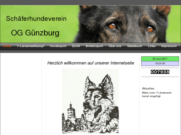 www.og-guenzburg.de