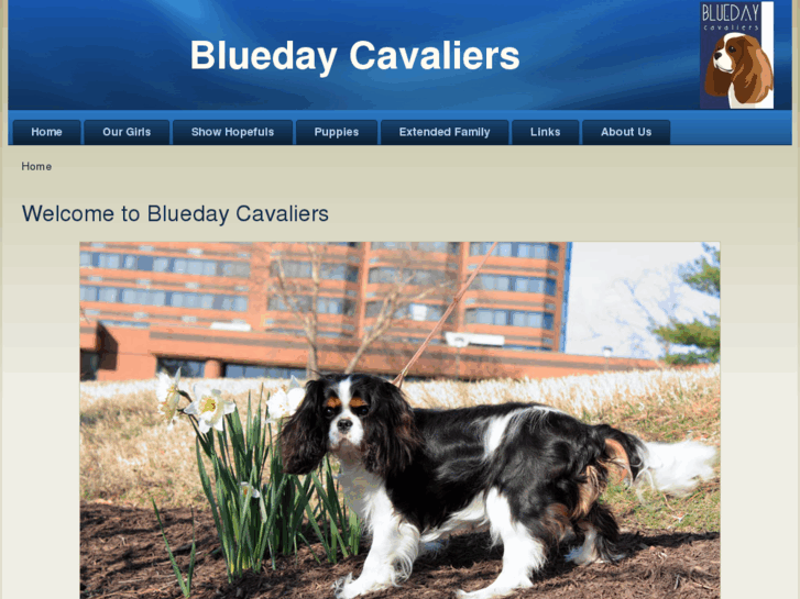 www.bluedaycavaliers.com