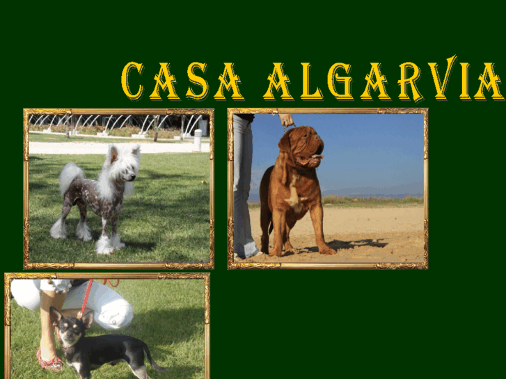 www.casaalgarviadog.com