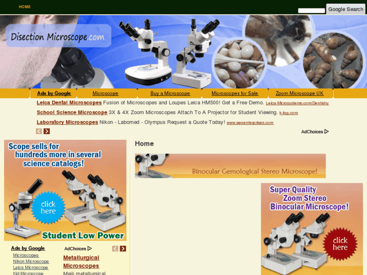 www.disectionmicroscope.com