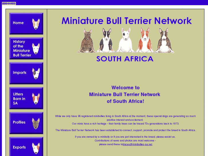 www.minibullies-sa.net