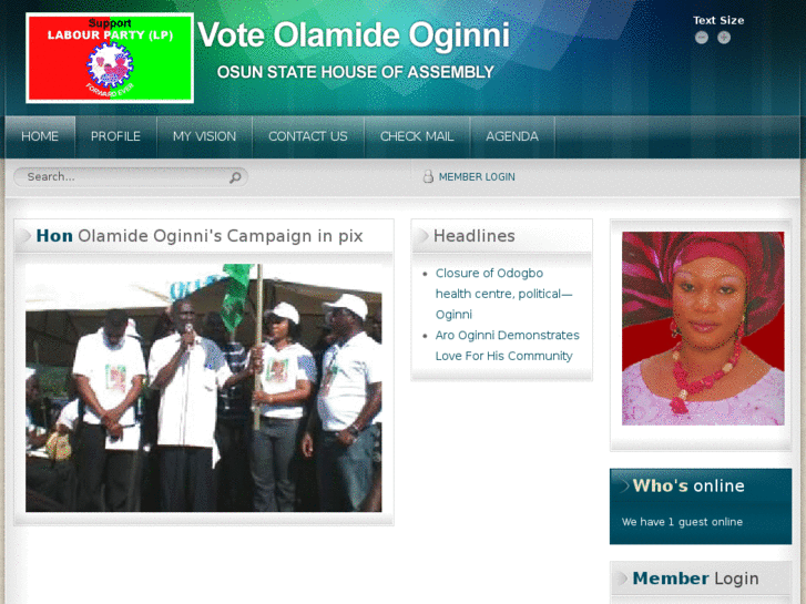 www.olamideoginni.com