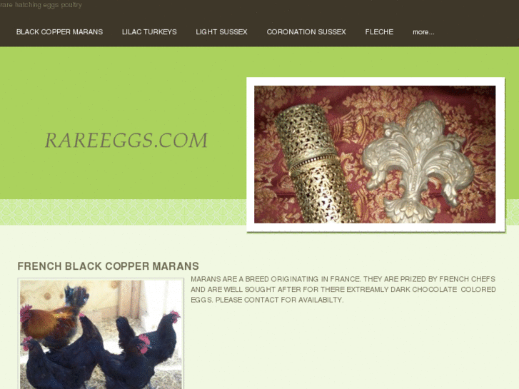 www.rareeggs.com