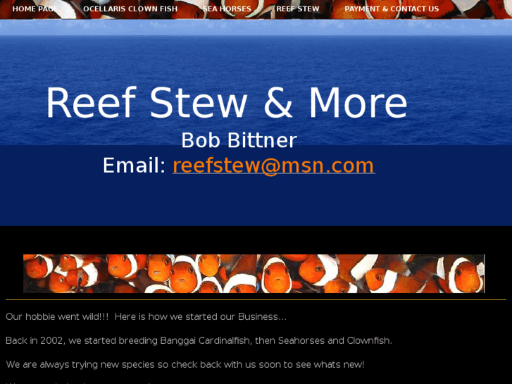 www.reefstew.com