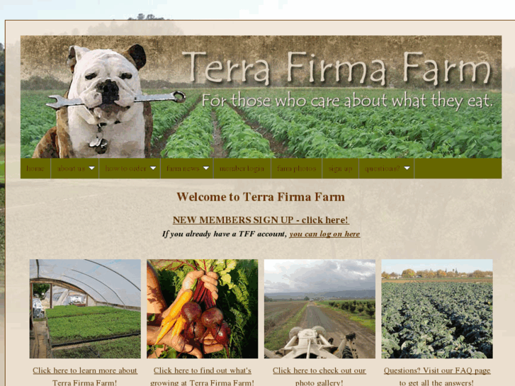 www.terrafirmafarm.com