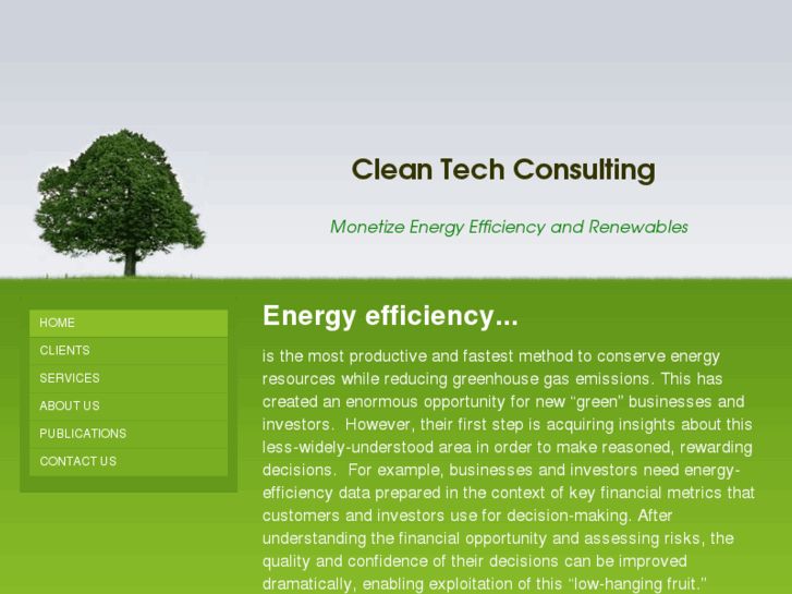www.cleantechconsulting.net