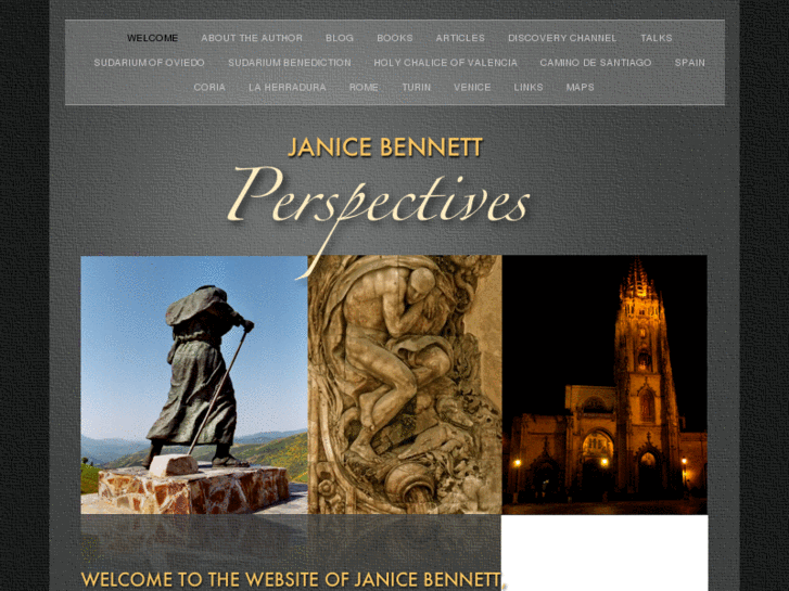 www.janicebennett.com