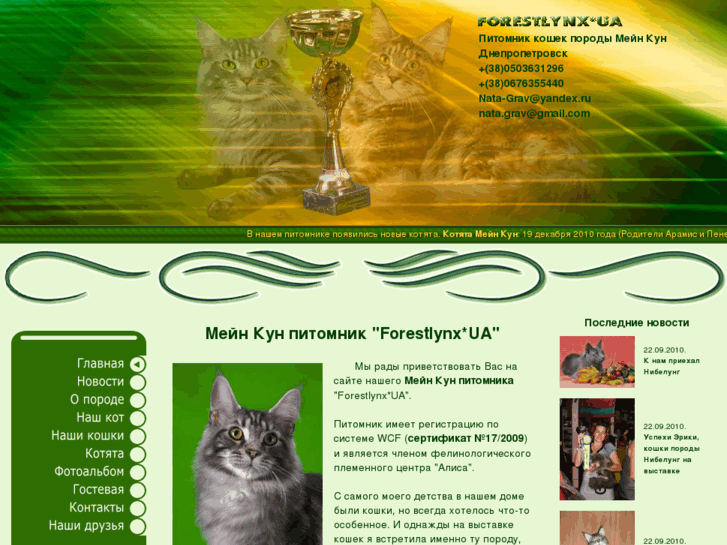 www.mainecoonua.com