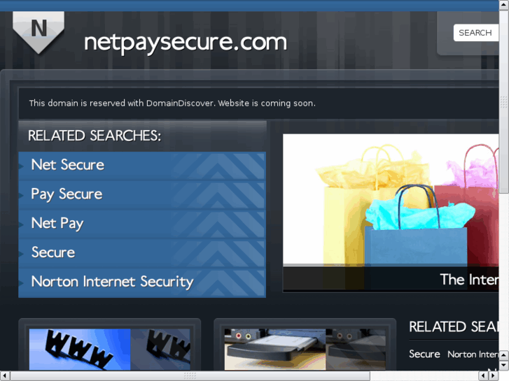 www.netpaysecure.com
