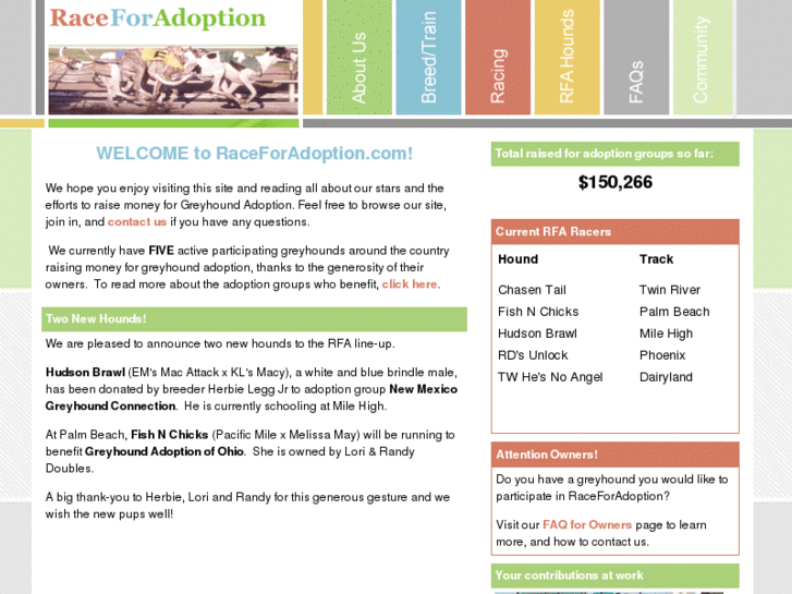 www.raceforadoption.com