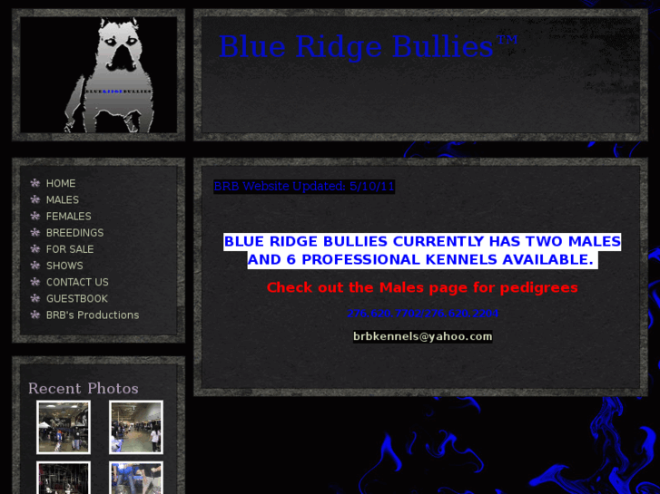 www.blueridgebullies.com