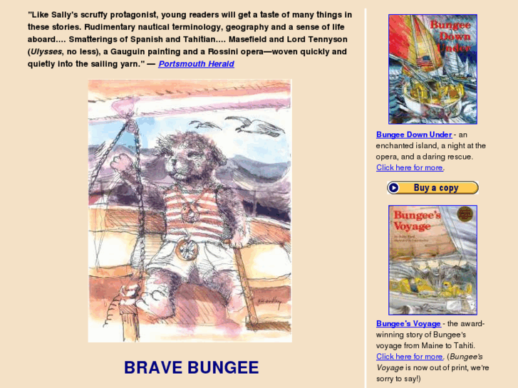 www.bravebungee.com