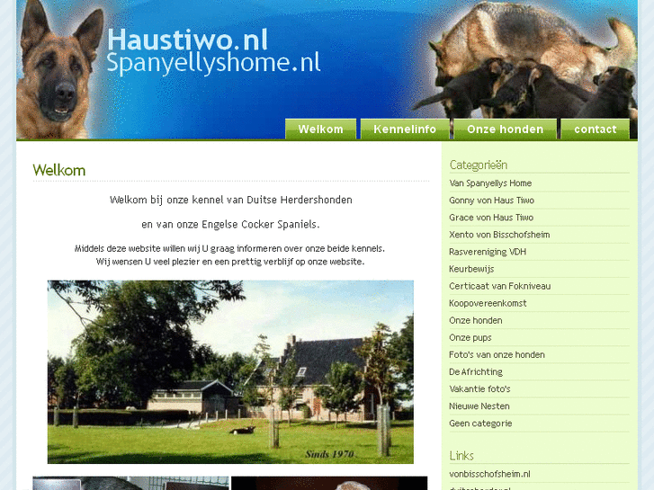 www.haustiwo.com