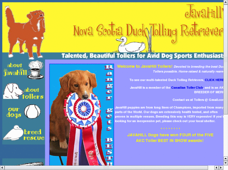 www.javahilltollers.com