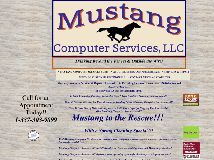 www.mustangcomputerservices.com