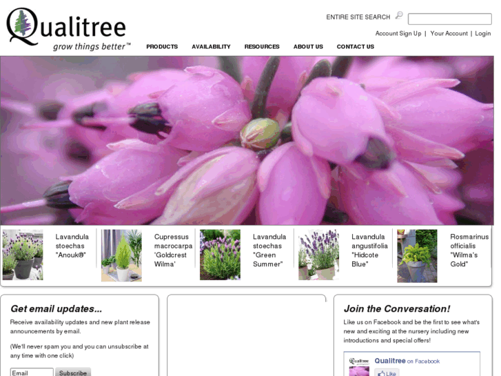 www.qualitree.com