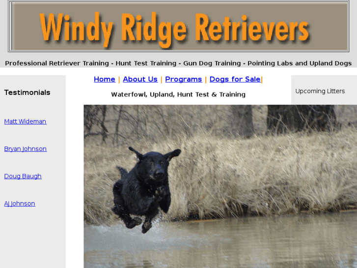 www.windyridgeretrievers.com