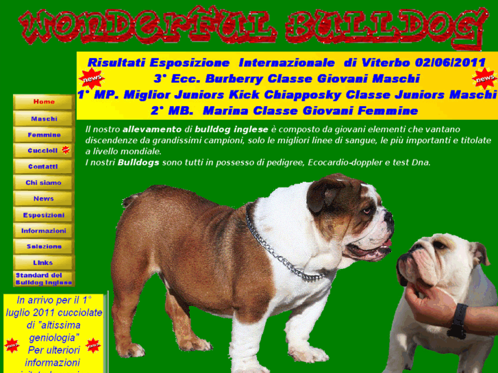 www.wonderfulbulldog.com