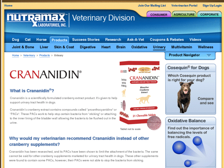 www.crananidinforcats.com