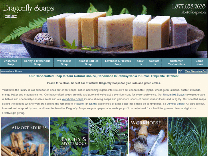 www.dfsoaps.com