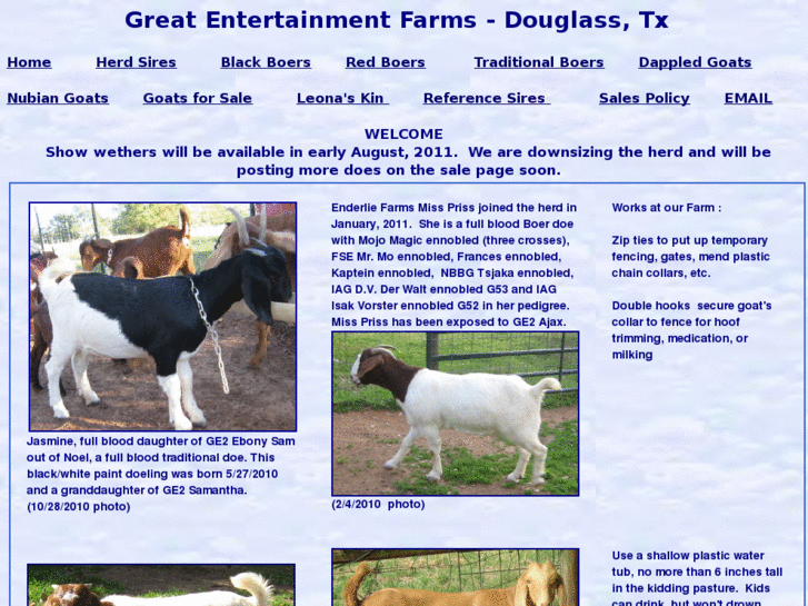 www.gefboergoats.com