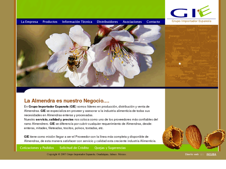 www.giemexico.com