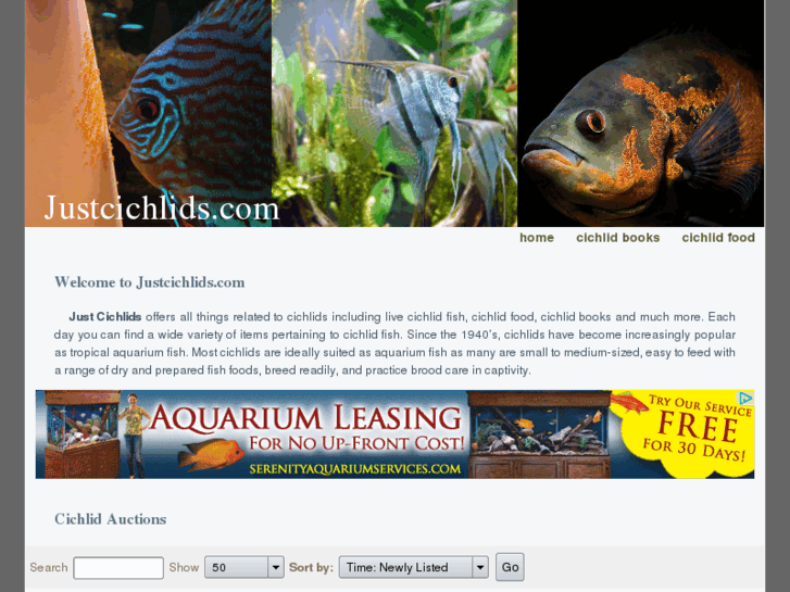 www.justcichlids.com