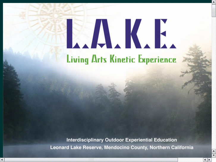 www.livingartskineticexperience.com