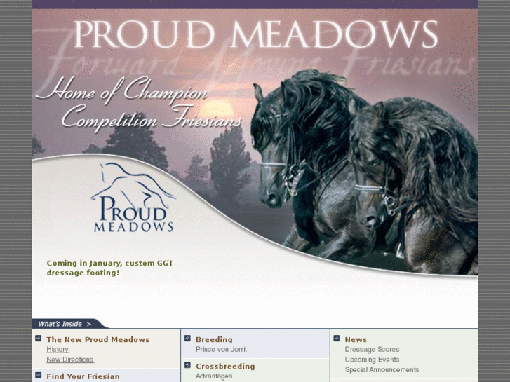 www.proudmeadows.com