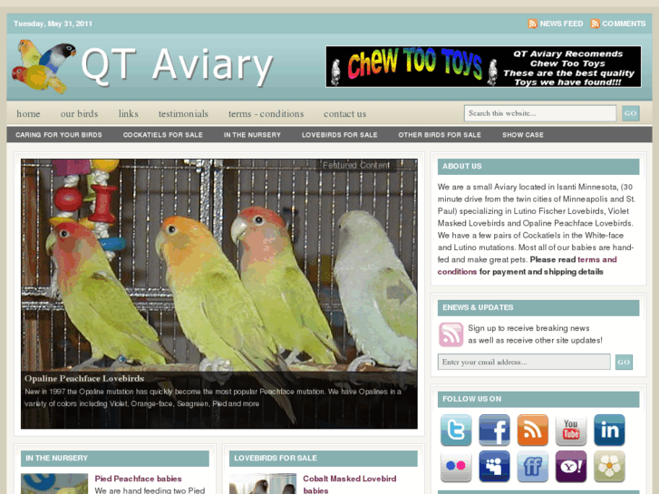 www.qtaviary.com