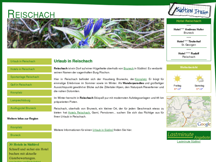 www.reischach.net