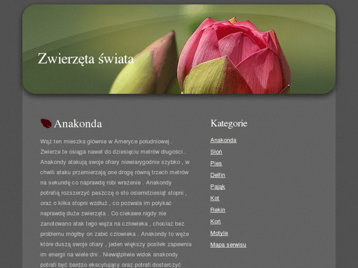 www.zwierzatka.com