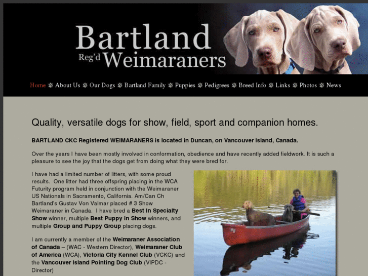 www.bartlandweimaraners.com