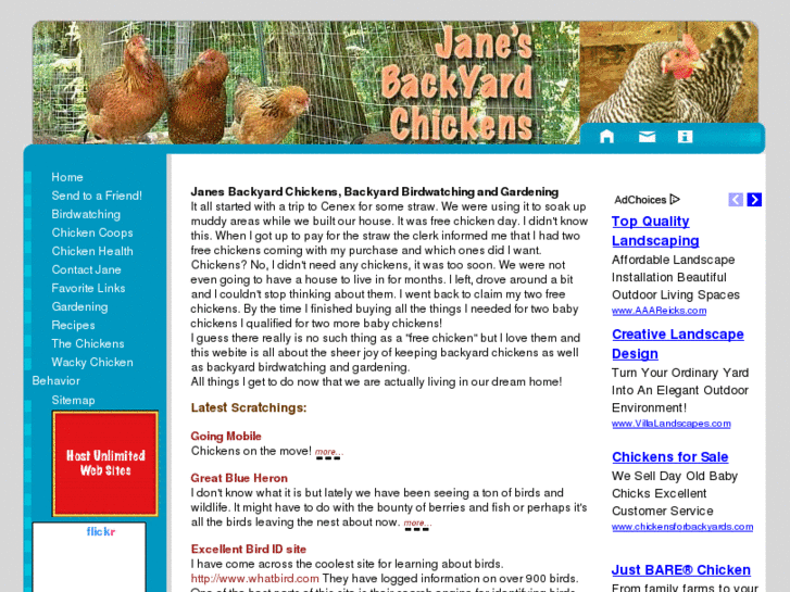 www.janesbackyardchickens.com