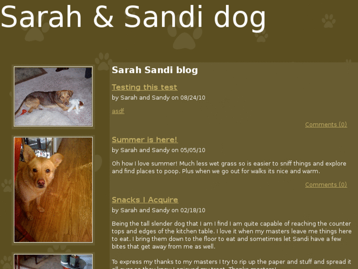 www.sarahsandidog.com