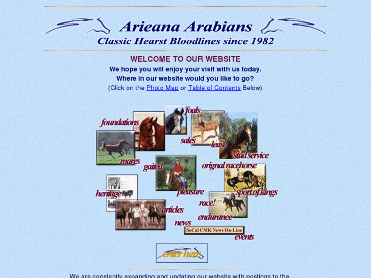 www.arieana.com