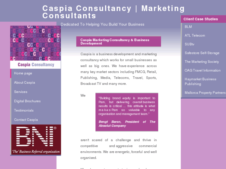 www.caspiaconsultancy.com