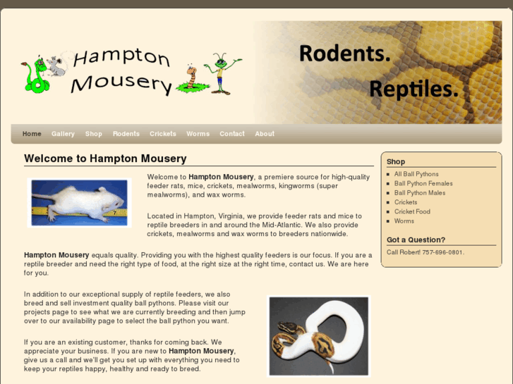 www.hamptonmousery.com