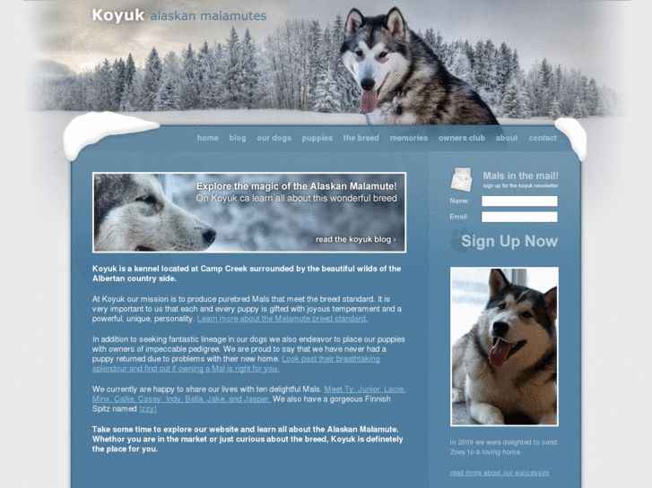 www.koyuk.org