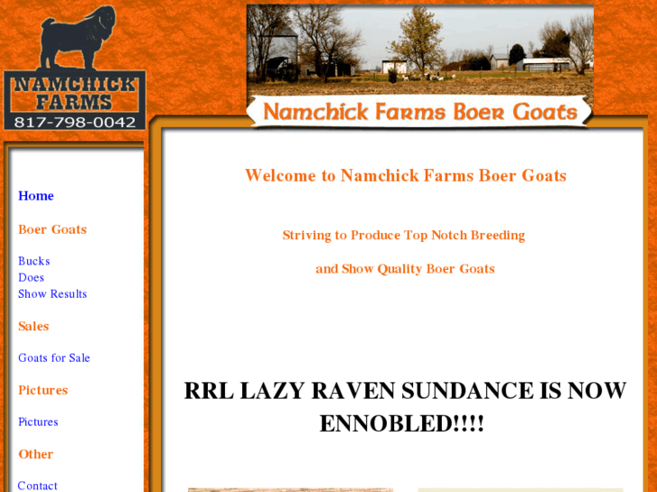 www.namchickfarmsboergoats.com