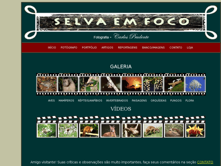 www.selvaemfoco.com