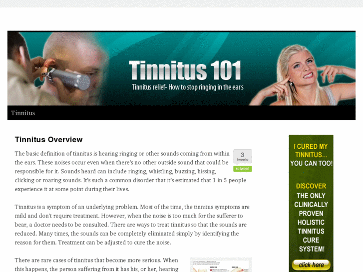 www.tinnitus101.net