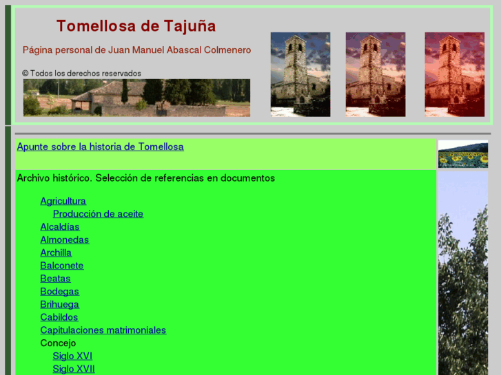 www.tomellosadetajunia.es