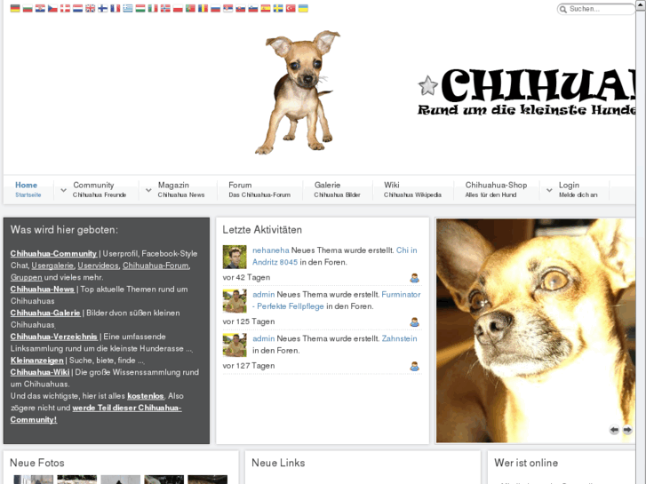 www.chihuahua-community.com