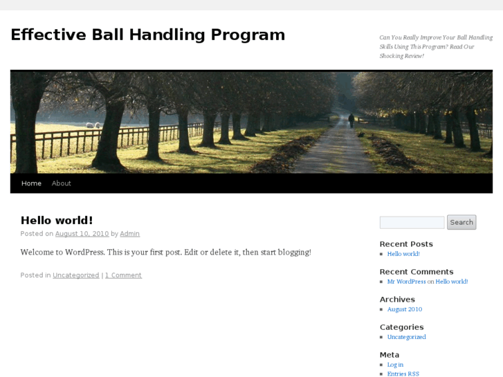www.effectiveballhandlingprogramreviewed.com