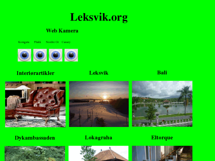 www.leksvik.org