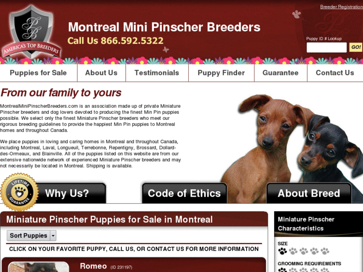 www.montrealminipinscherbreeders.com