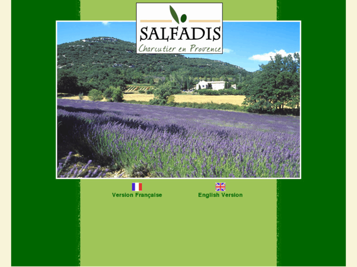 www.salfadis.com