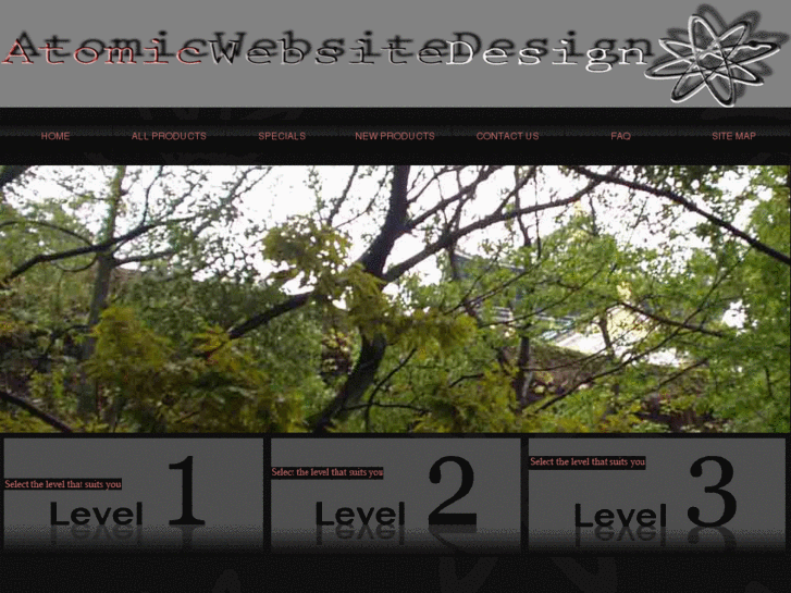www.atomicwebsitedesign.com